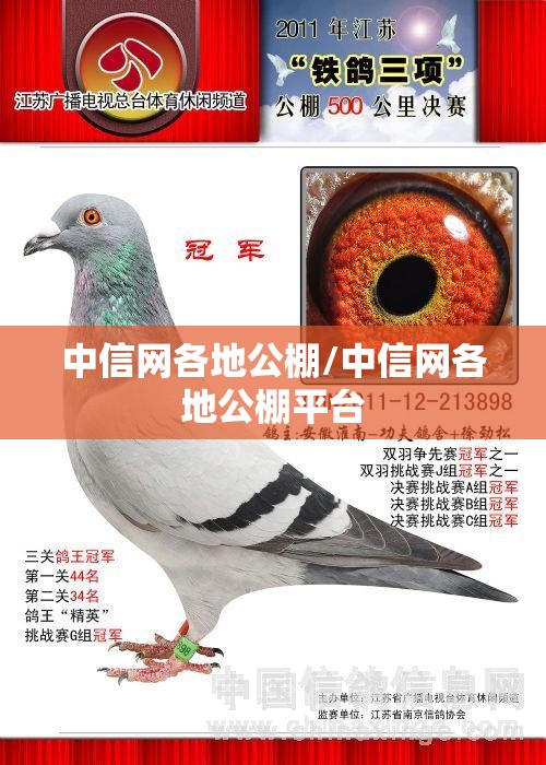 中信网各地公棚/中信网各地公棚平台 中信网各地公棚/中信网各地公棚平台