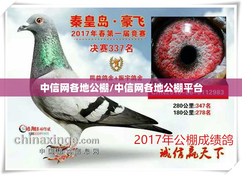 中信网各地公棚/中信网各地公棚平台 中信网各地公棚/中信网各地公棚平台