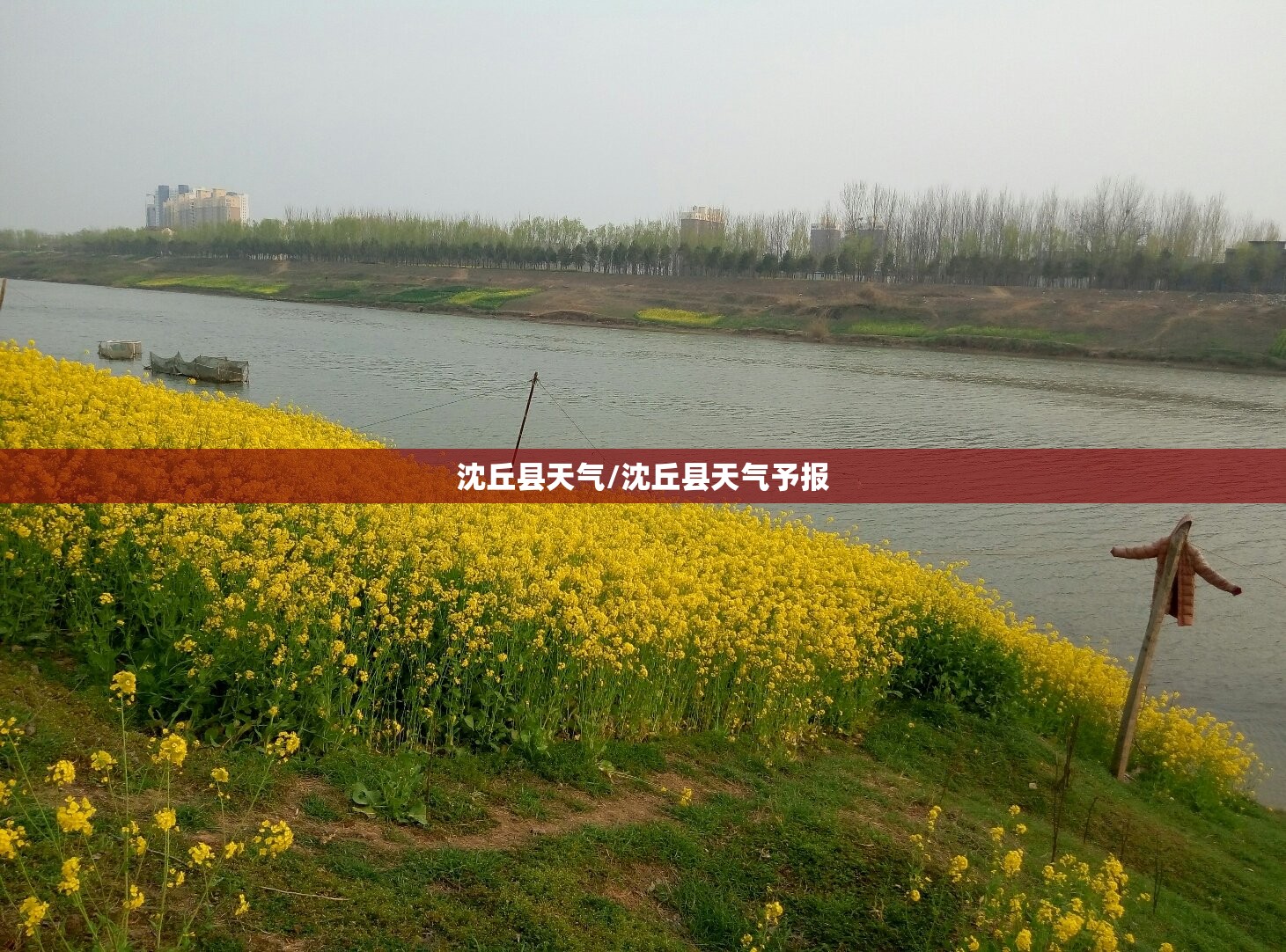 沈丘县天气/沈丘县天气予报