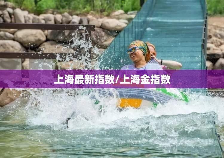 上海最新指数/上海金指数 上海最新指数/上海金指数