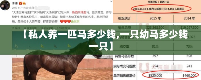 【私人养一匹马多少钱,一只幼马多少钱一只】 【私人养一匹马多少钱,一只幼马多少钱一只】