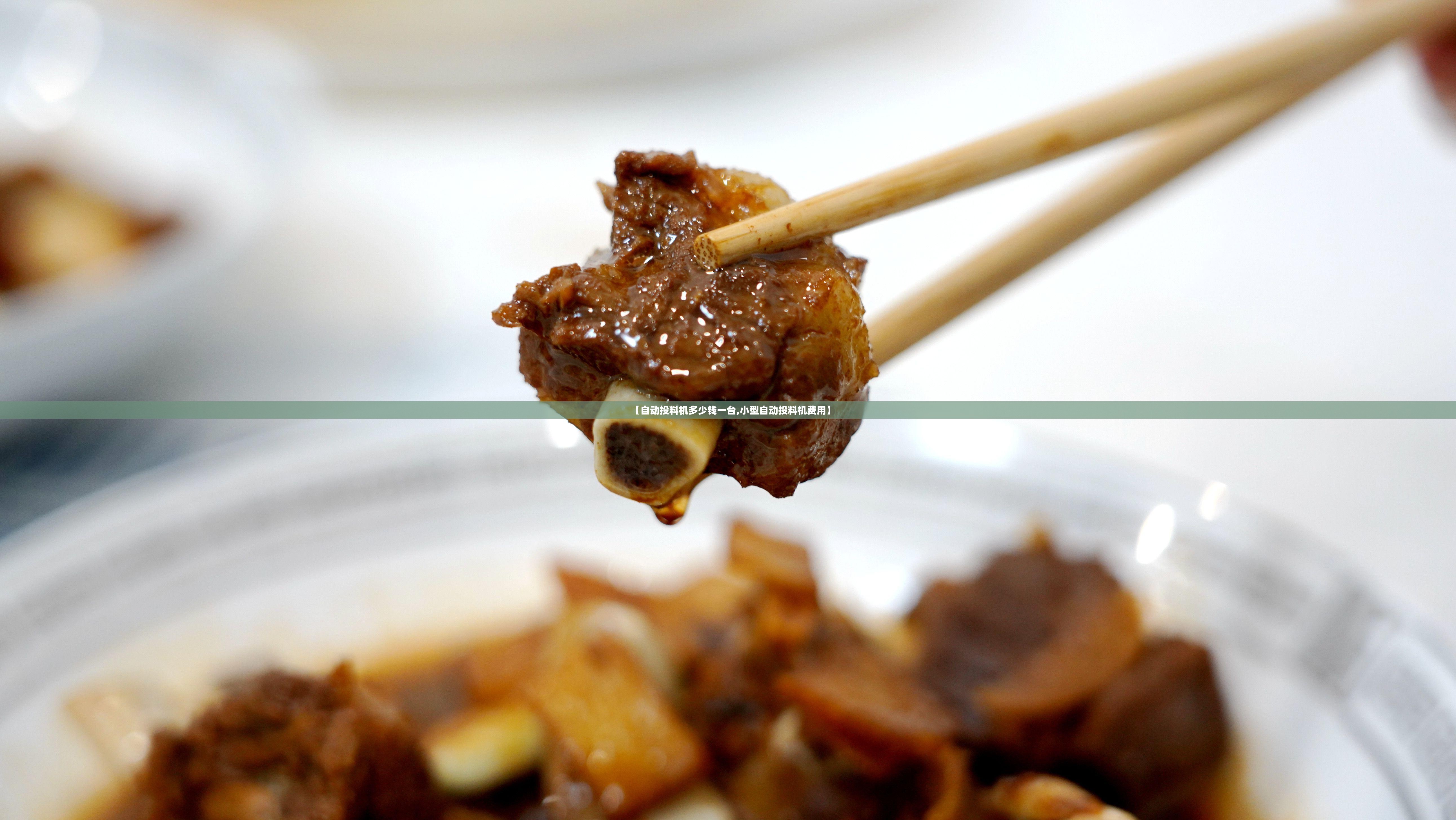 【自动投料机多少钱一台,小型自动投料机费用】 【自动投料机多少钱一台,小型自动投料机费用】
