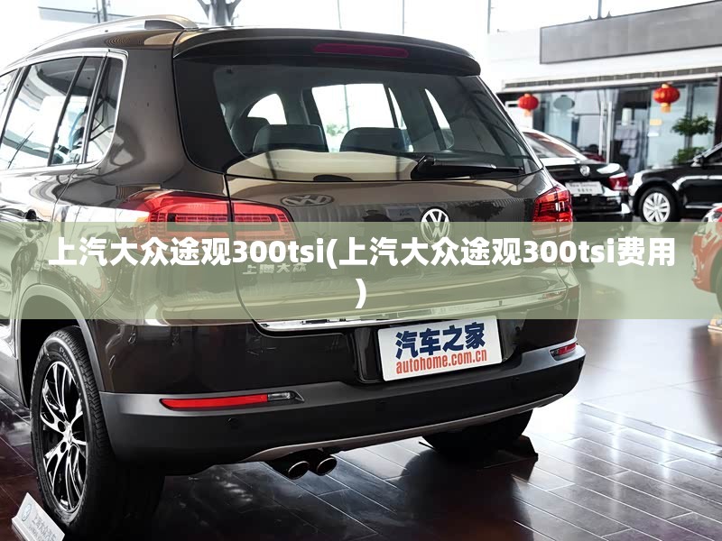 上汽大众途观300tsi(上汽大众途观300tsi费用)