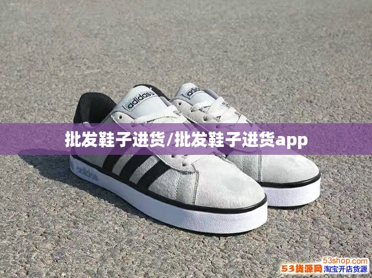 批发鞋子进货/批发鞋子进货app 批发鞋子进货/批发鞋子进货app