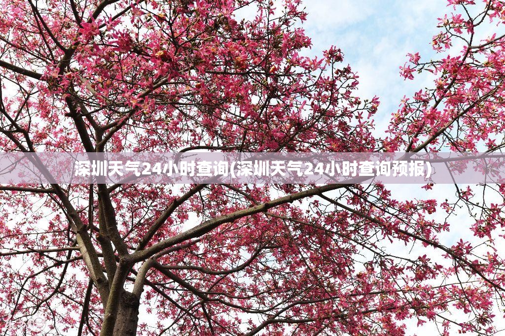 深圳天气24小时查询(深圳天气24小时查询预报) 深圳天气24小时查询(深圳天气24小时查询预报)