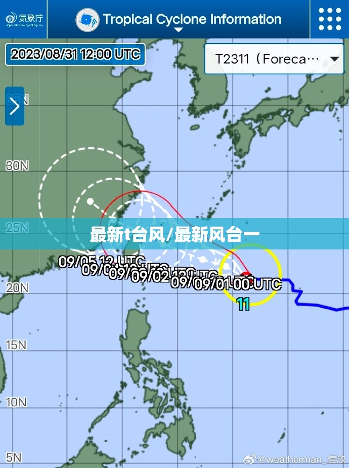 最新t台风/最新风台一