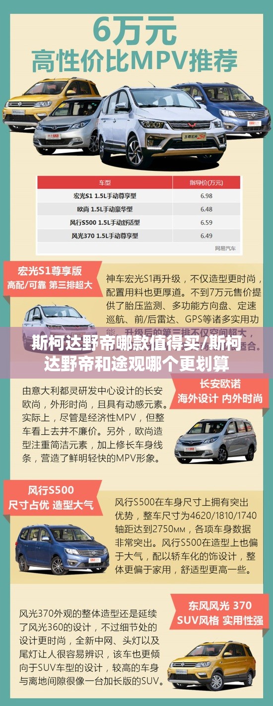 斯柯达野帝哪款值得买/斯柯达野帝和途观哪个更划算