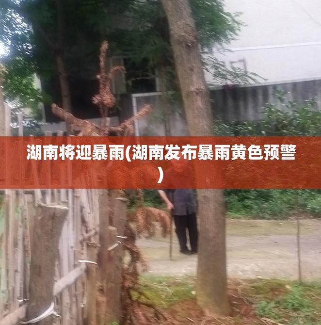 湖南将迎暴雨(湖南发布暴雨黄色预警) 湖南将迎暴雨(湖南发布暴雨黄色预警)
