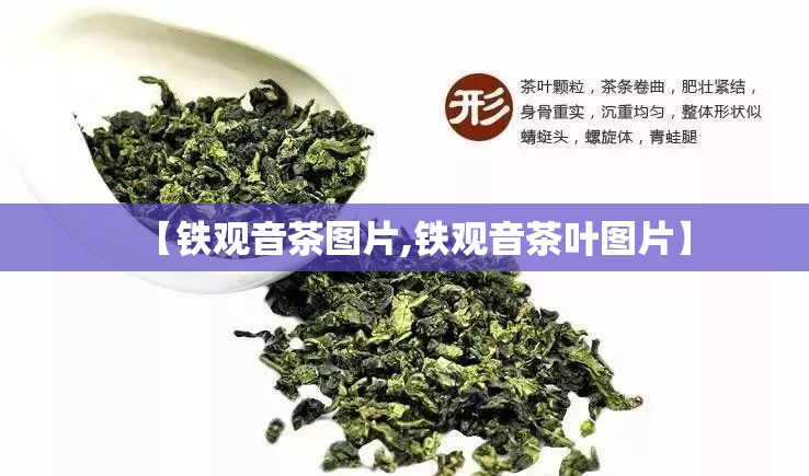 【铁观音茶图片,铁观音茶叶图片】 【铁观音茶图片,铁观音茶叶图片】