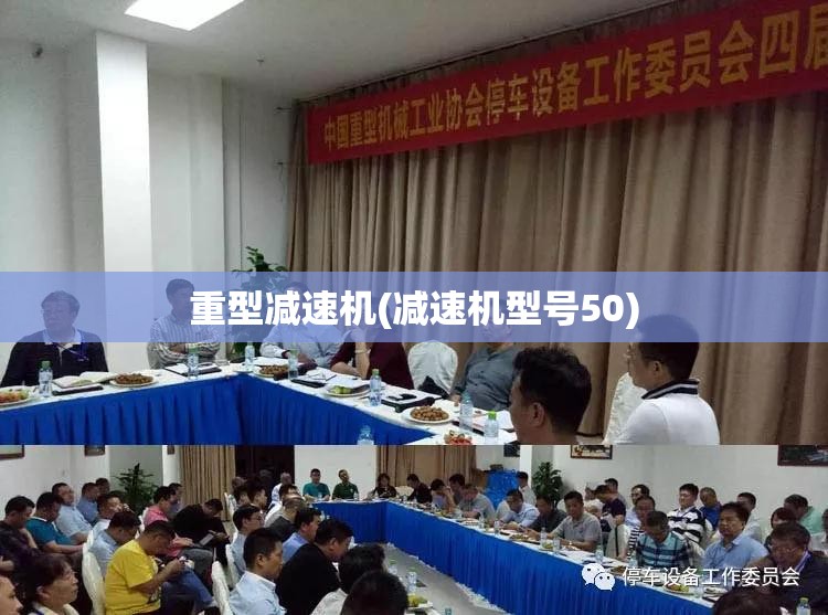 重型减速机(减速机型号50)