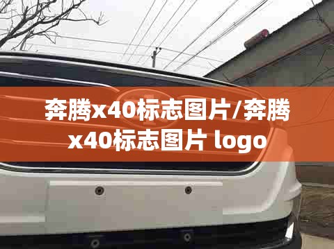 奔腾x40标志图片/奔腾x40标志图片 logo