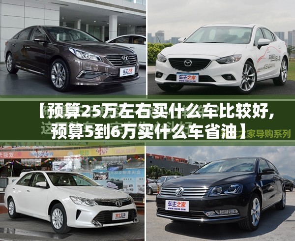 【预算25万左右买什么车比较好,预算5到6万买什么车省油】