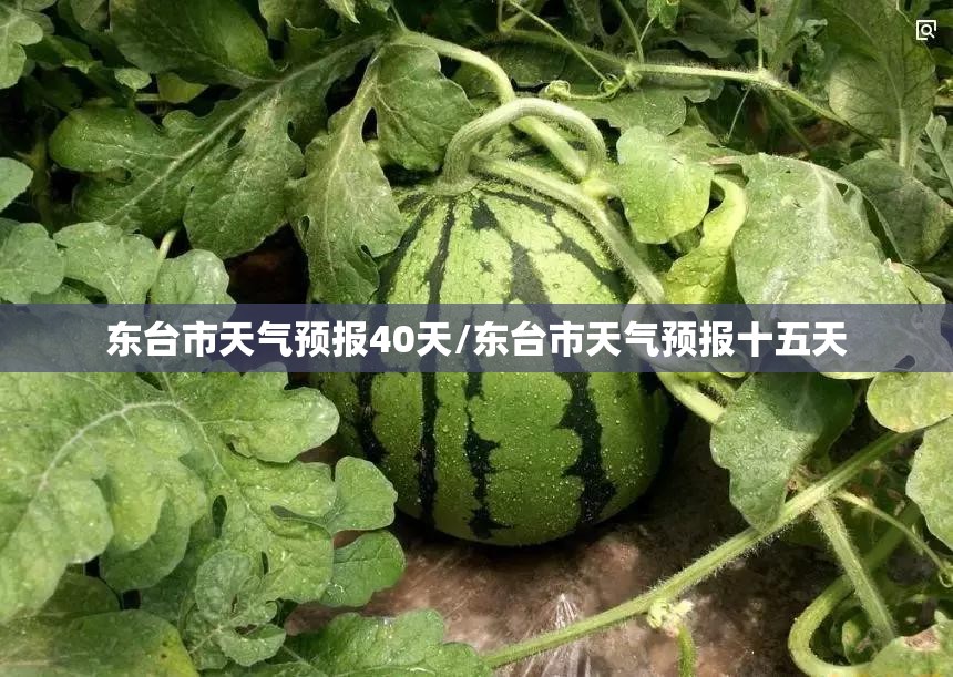 东台市天气预报40天/东台市天气预报十五天 东台市天气预报40天/东台市天气预报十五天