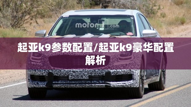 起亚k9参数配置/起亚k9豪华配置解析 起亚k9参数配置/起亚k9豪华配置解析