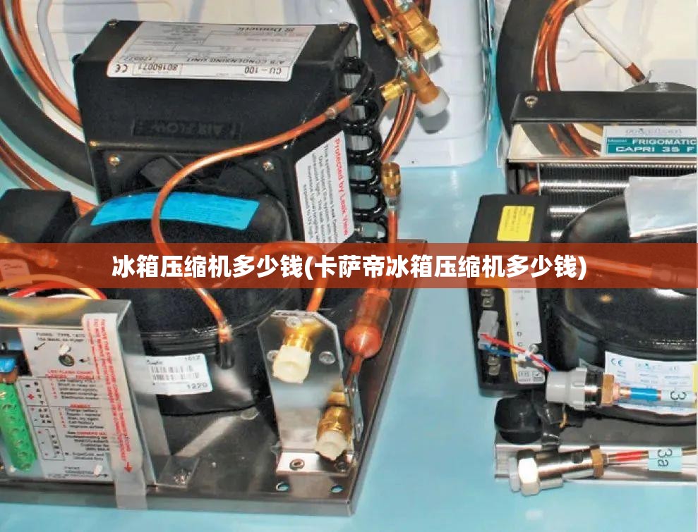 冰箱压缩机多少钱(卡萨帝冰箱压缩机多少钱) 冰箱压缩机多少钱(卡萨帝冰箱压缩机多少钱)