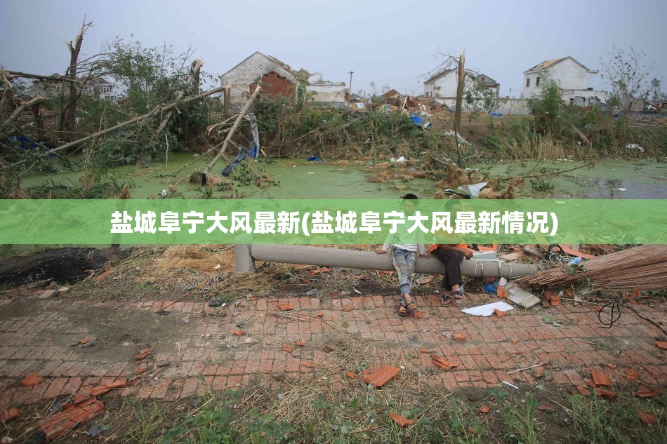 盐城阜宁大风最新(盐城阜宁大风最新情况)