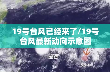 19号台风已经来了/19号台风最新动向示意图