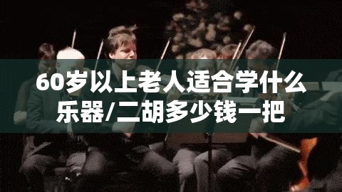 60岁以上老人适合学什么乐器/二胡多少钱一把 60岁以上老人适合学什么乐器/二胡多少钱一把