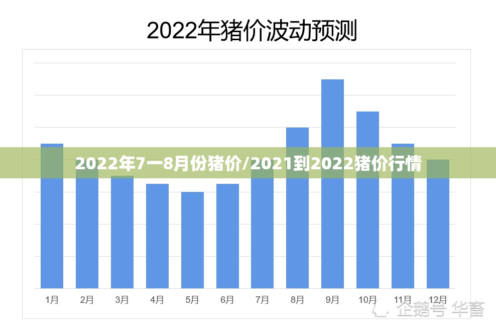 2022年7一8月份猪价/2021到2022猪价行情 2022年7一8月份猪价/2021到2022猪价行情