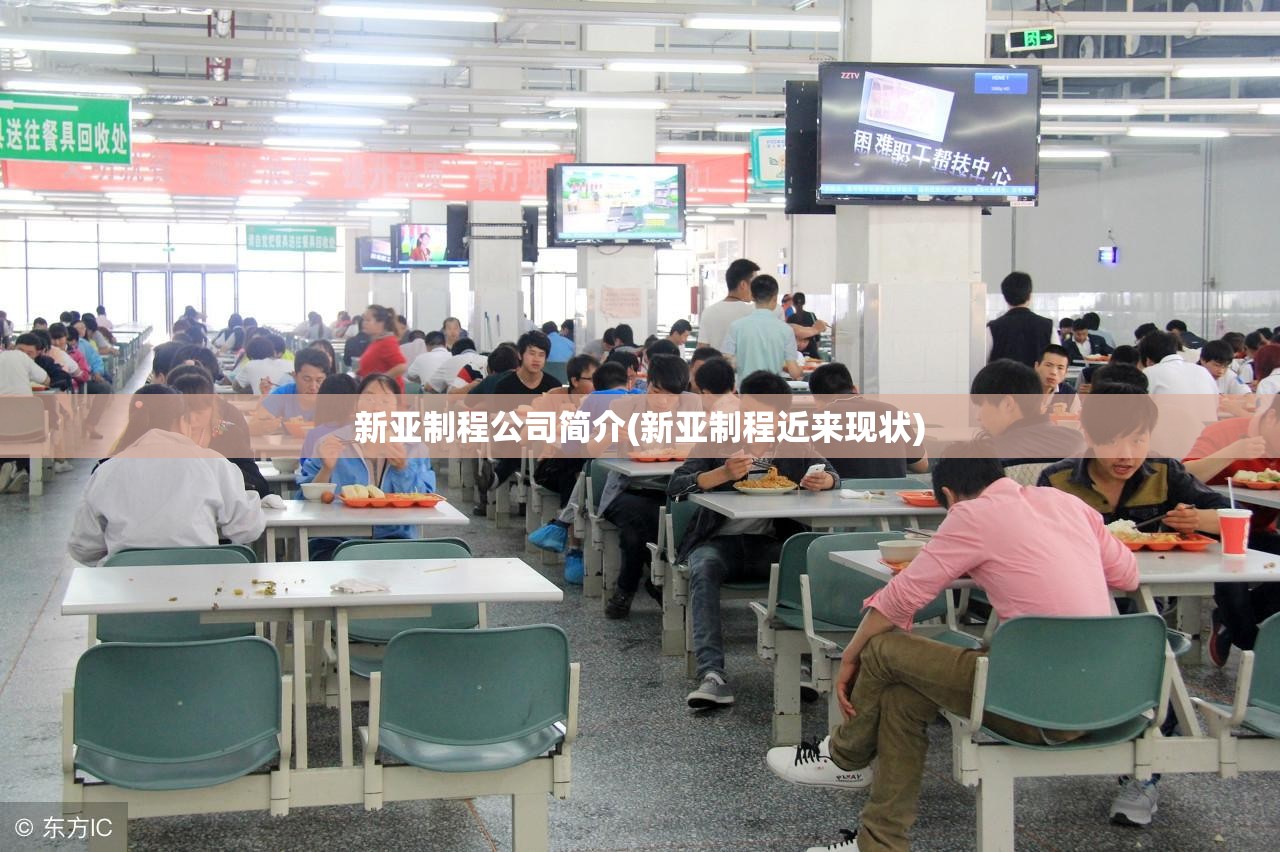 新亚制程公司简介(新亚制程近来现状) 新亚制程公司简介(新亚制程近来现状)