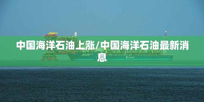 中国海洋石油上涨/中国海洋石油最新消息 中国海洋石油上涨/中国海洋石油最新消息