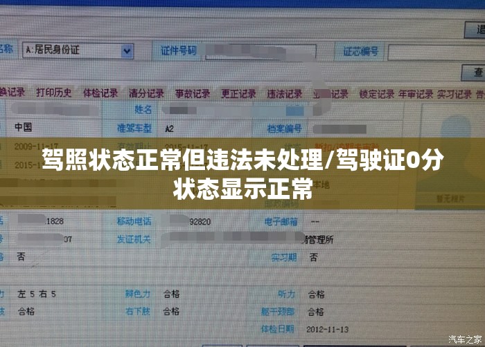 驾照状态正常但违法未处理/驾驶证0分状态显示正常 驾照状态正常但违法未处理/驾驶证0分状态显示正常