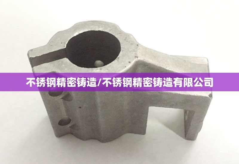 不锈钢精密铸造/不锈钢精密铸造有限公司