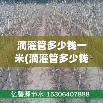 滴灌管多少钱一米(滴灌管多少钱一亩) 滴灌管多少钱一米(滴灌管多少钱一亩)