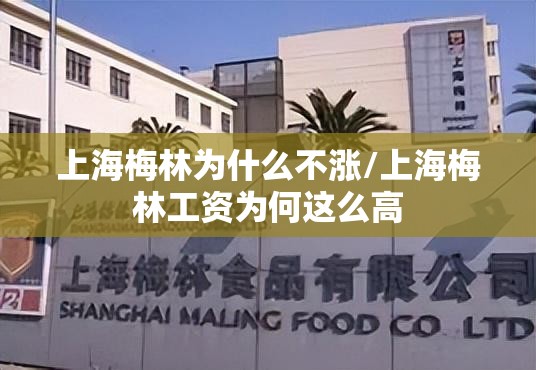 上海梅林为什么不涨/上海梅林工资为何这么高 上海梅林为什么不涨/上海梅林工资为何这么高