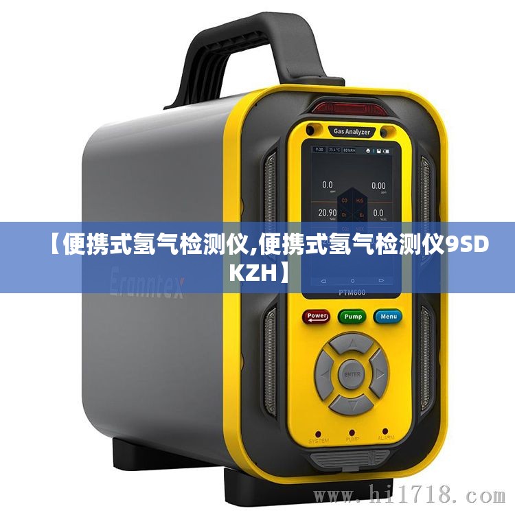 【便携式氢气检测仪,便携式氢气检测仪9SDKZH】 【便携式氢气检测仪,便携式氢气检测仪9SDKZH】