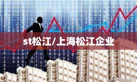 st松江/上海松江企业 st松江/上海松江企业