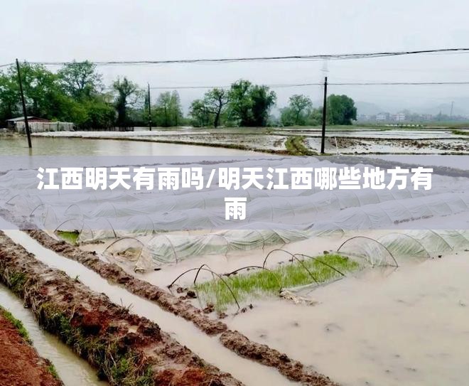 江西明天有雨吗/明天江西哪些地方有雨 江西明天有雨吗/明天江西哪些地方有雨