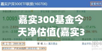 嘉实300基金今天净估值(嘉实300基金160706今日估值) 嘉实300基金今天净估值(嘉实300基金160706今日估值)