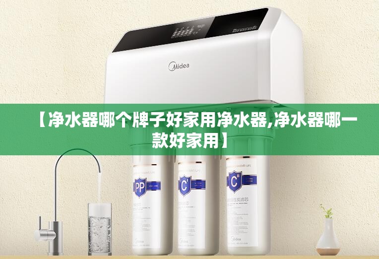 【净水器哪个牌子好家用净水器,净水器哪一款好家用】