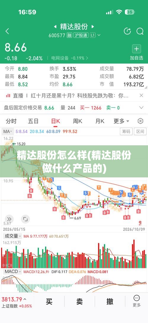 精达股份怎么样(精达股份做什么产品的)