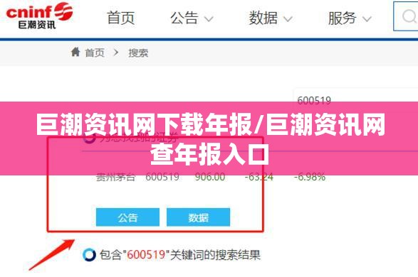 巨潮资讯网下载年报/巨潮资讯网查年报入口 巨潮资讯网下载年报/巨潮资讯网查年报入口