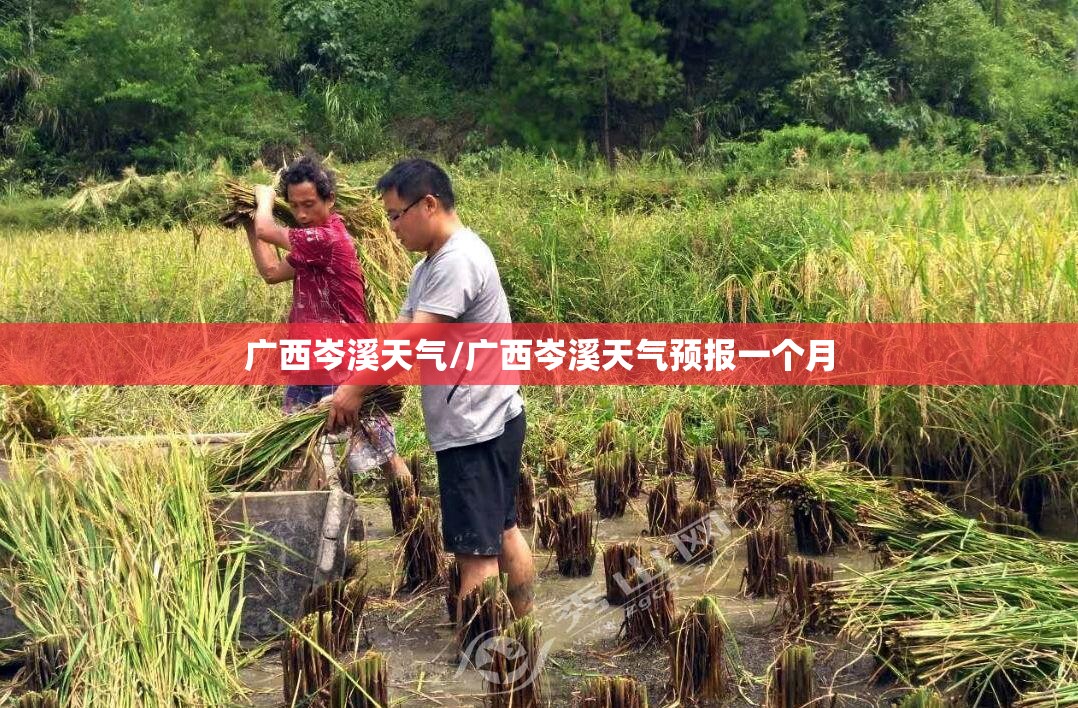 广西岑溪天气/广西岑溪天气预报一个月