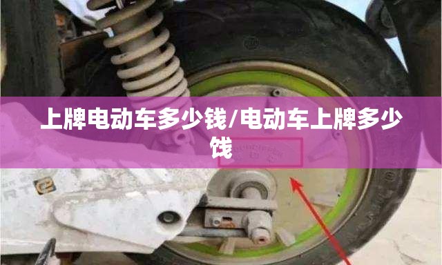 上牌电动车多少钱/电动车上牌多少饯 上牌电动车多少钱/电动车上牌多少饯