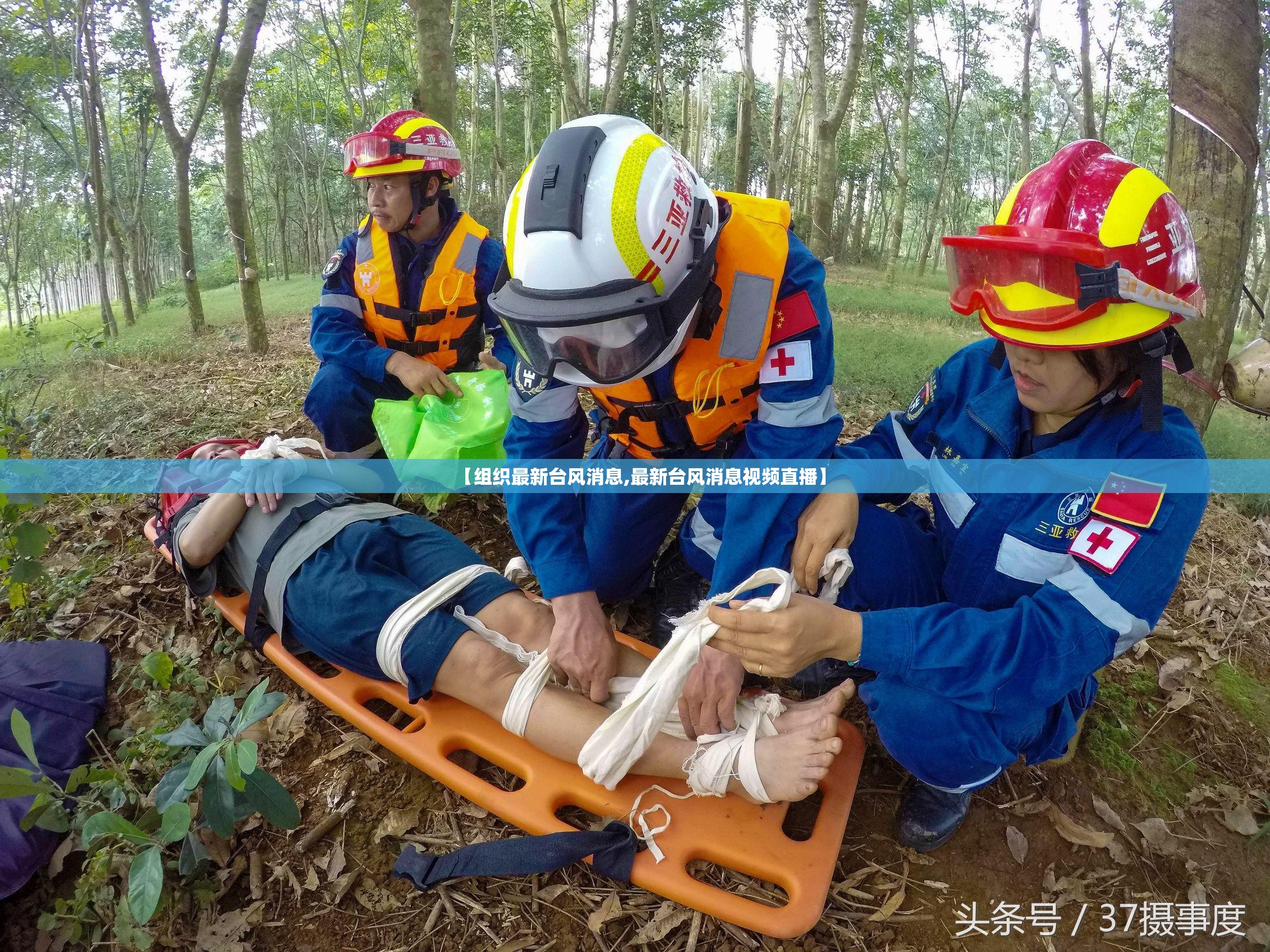 【组织最新台风消息,最新台风消息视频直播】 【组织最新台风消息,最新台风消息视频直播】