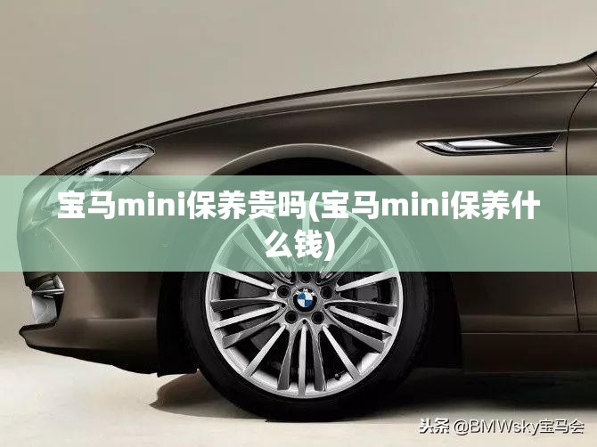 宝马mini保养贵吗(宝马mini保养什么钱) 宝马mini保养贵吗(宝马mini保养什么钱)