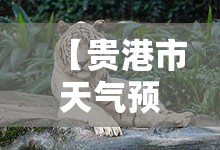 【贵港市天气预报15天查询百度,贵港天气预报15天查询准确】
