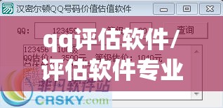 qq评估软件/评估软件专业版官方网站 qq评估软件/评估软件专业版官方网站