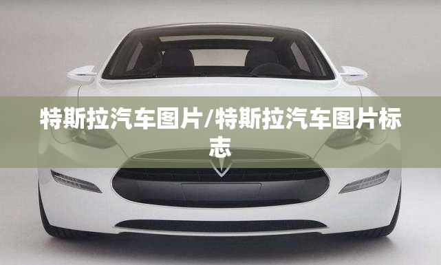 特斯拉汽车图片/特斯拉汽车图片标志