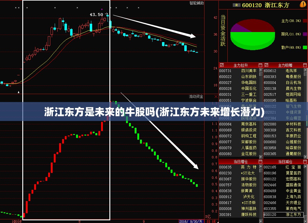 浙江东方是未来的牛股吗(浙江东方未来增长潜力)