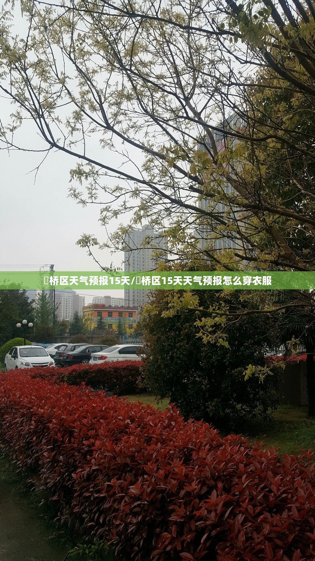 埇桥区天气预报15天/埇桥区15天天气预报怎么穿衣服 埇桥区天气预报15天/埇桥区15天天气预报怎么穿衣服