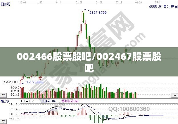 002466股票股吧/002467股票股吧 002466股票股吧/002467股票股吧