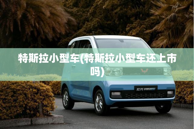 特斯拉小型车(特斯拉小型车还上市吗) 特斯拉小型车(特斯拉小型车还上市吗)