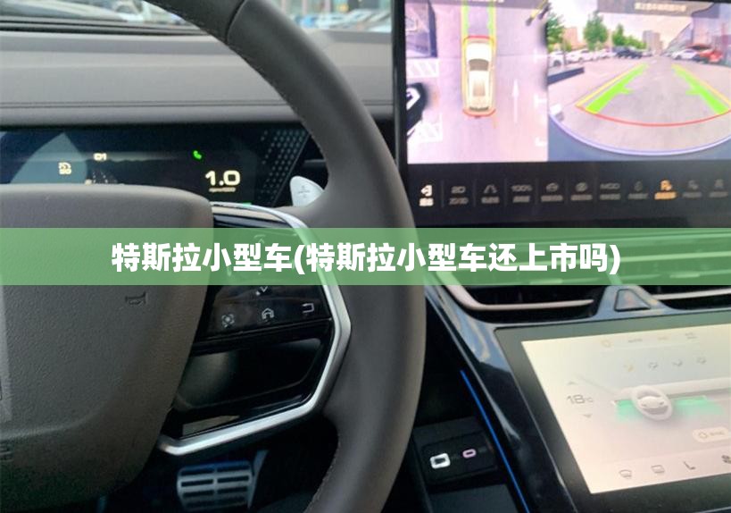 特斯拉小型车(特斯拉小型车还上市吗) 特斯拉小型车(特斯拉小型车还上市吗)