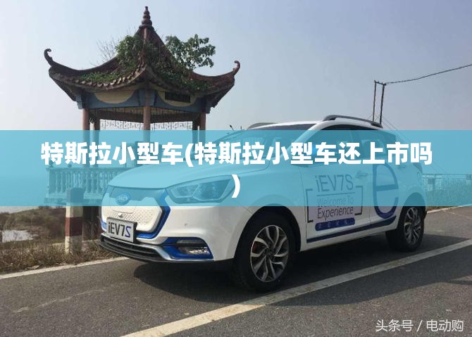 特斯拉小型车(特斯拉小型车还上市吗) 特斯拉小型车(特斯拉小型车还上市吗)