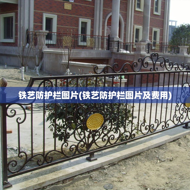铁艺防护栏图片(铁艺防护栏图片及费用)